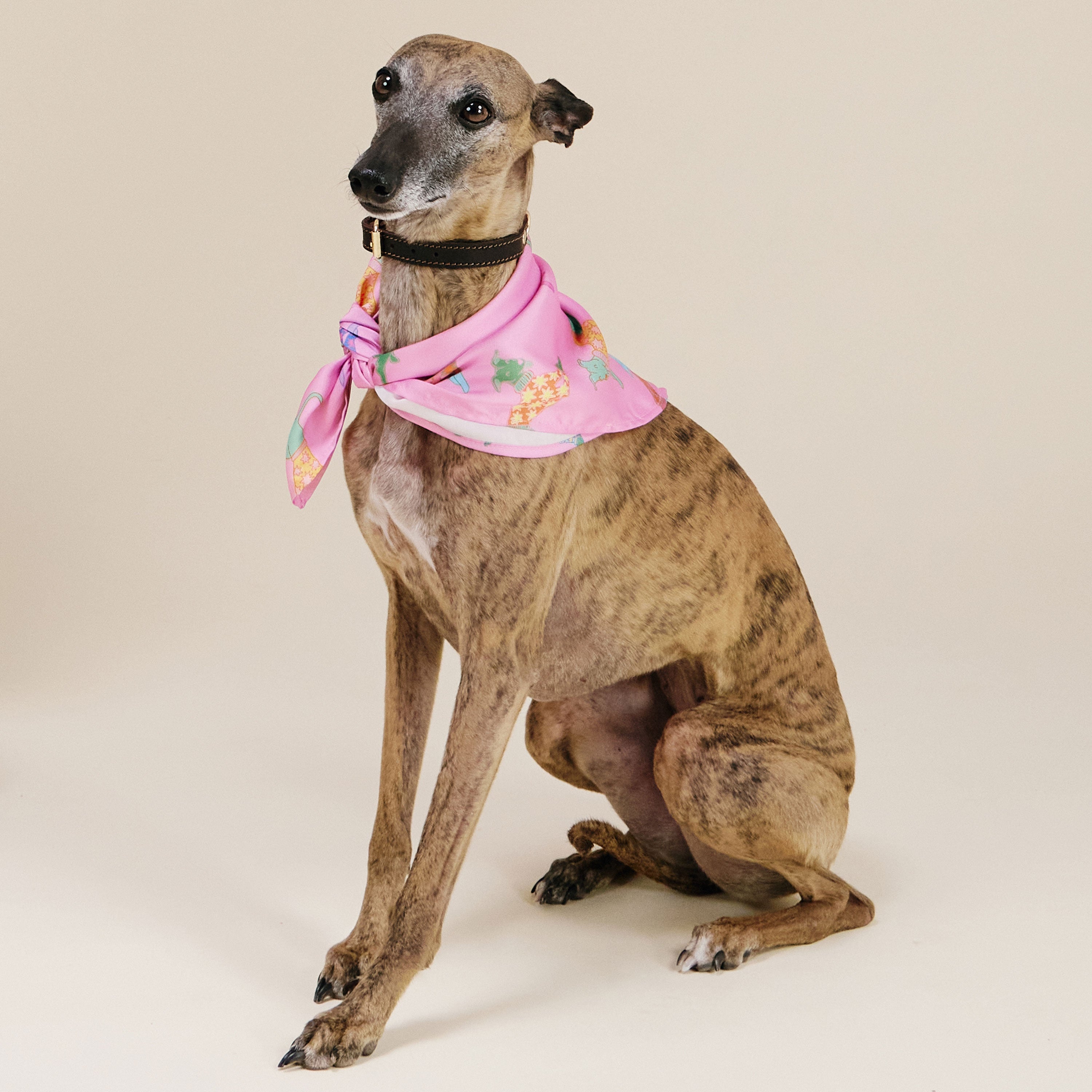 Dogs in Pink Bandana