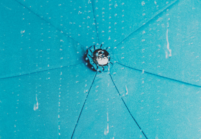 Earth Day 2026: Why It Matters (and Why It Matters to Us)