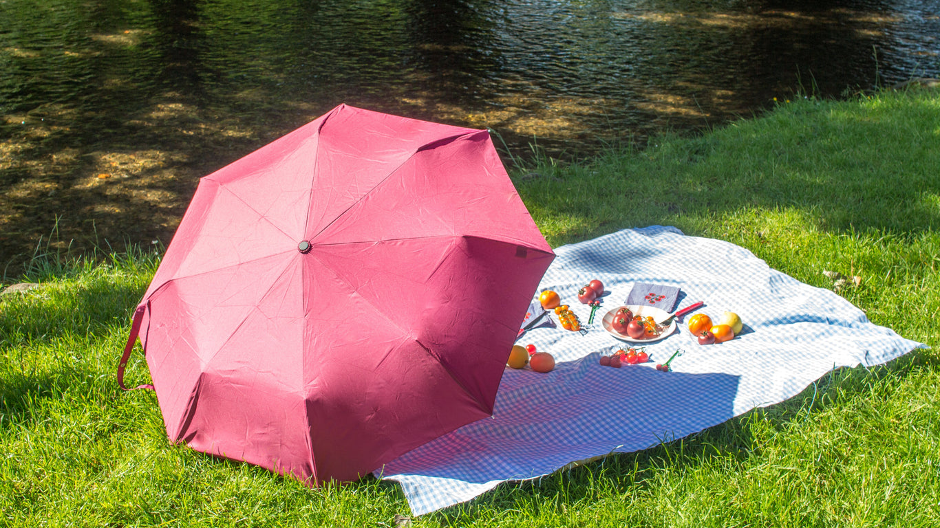 What Is Throwaway Culture & Why Is It Such A Problem In The Umbrella Industry?