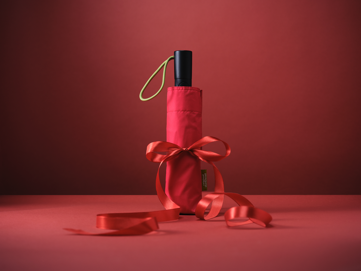Why Is A Sustainable Umbrella The Perfect Christmas Gift?