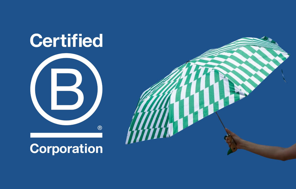 Our B Corp Journey
