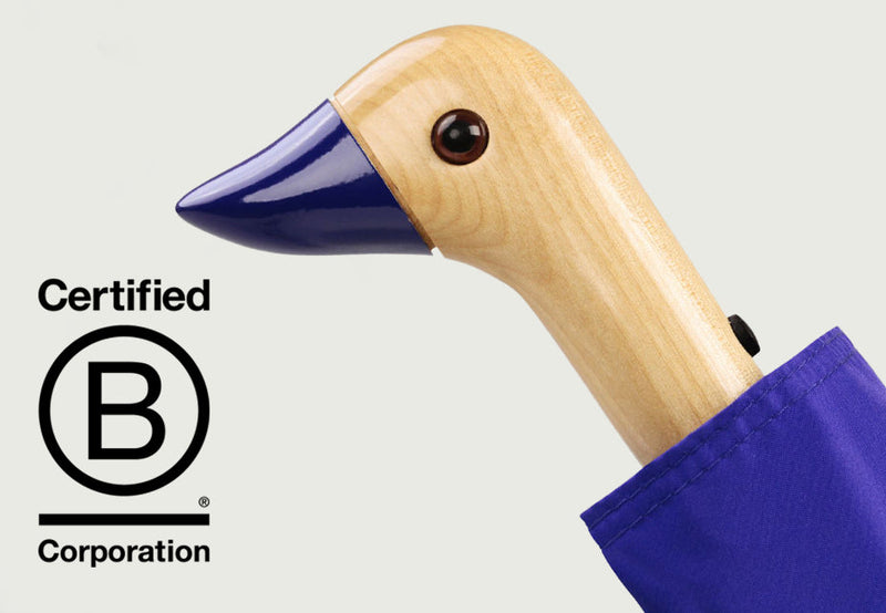 Eco-Friendly Swag That Lasts: Why B Corps Choose Branded Umbrellas