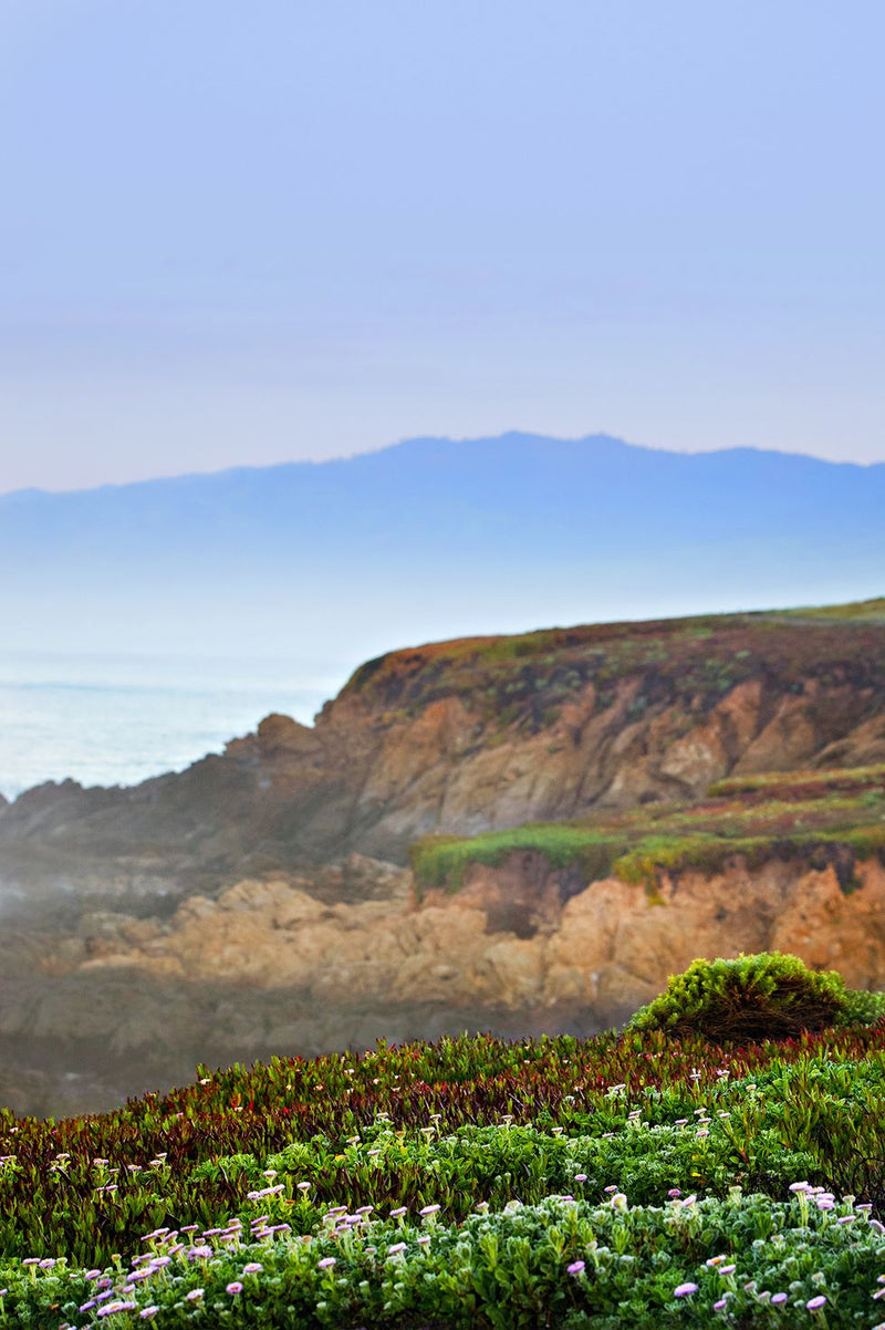 What Are Five Easy Eco-Friendly Trends To Live More Sustainably?