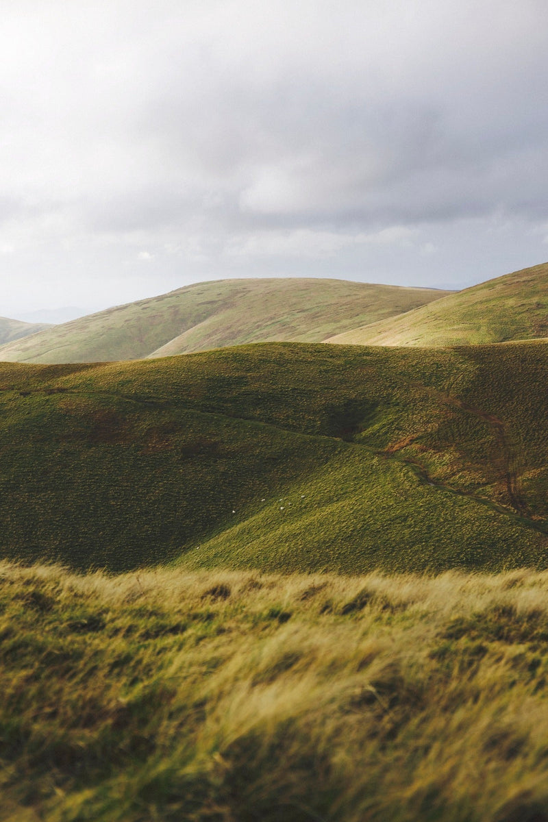 What Makes The Best Sustainable and Eco-Friendly Umbrella?