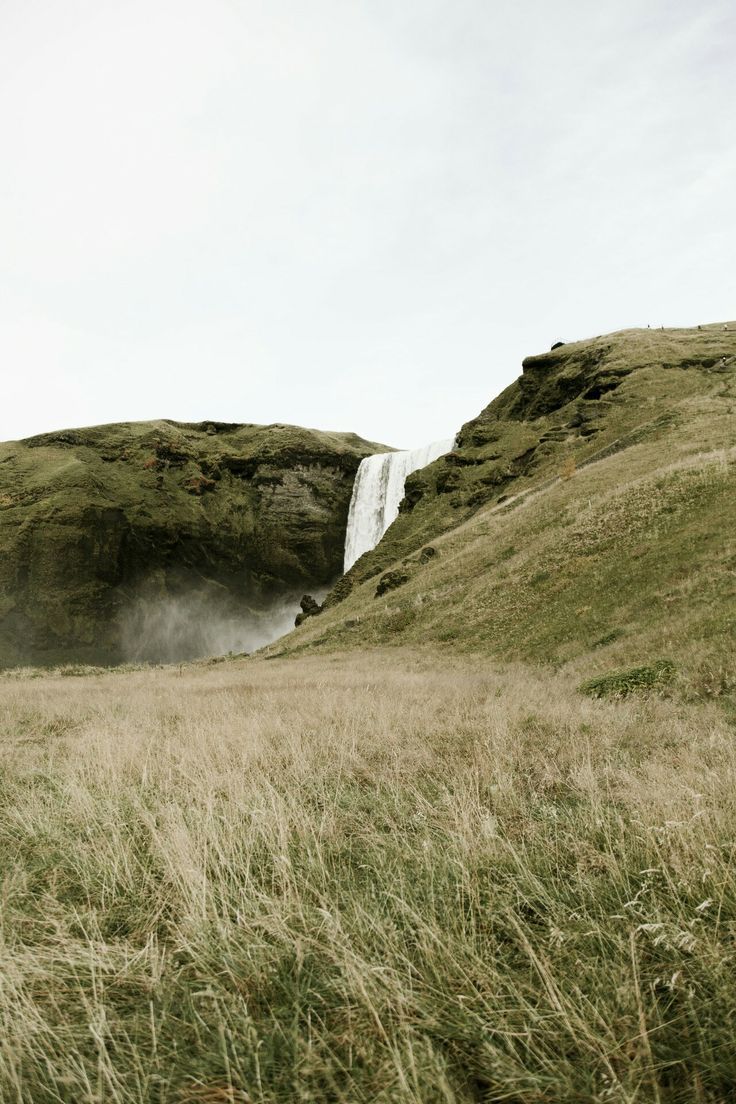 What Top Five Materials Are In The Best Sustainable and Eco-Friendly Umbrella?
