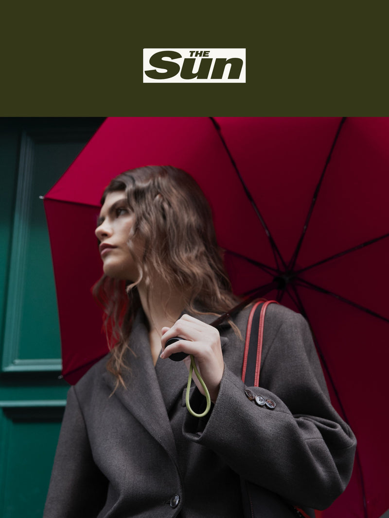 The Sun