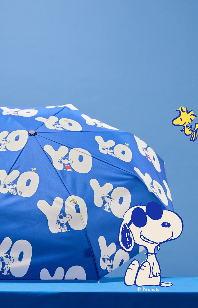 NEW Peanuts Collection