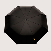 Black Umbrella with Auto Open-Close