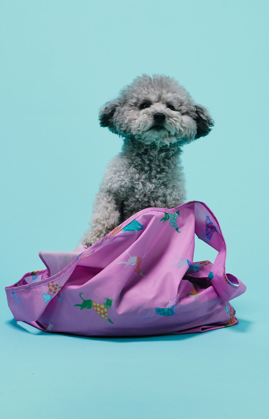 New Bags