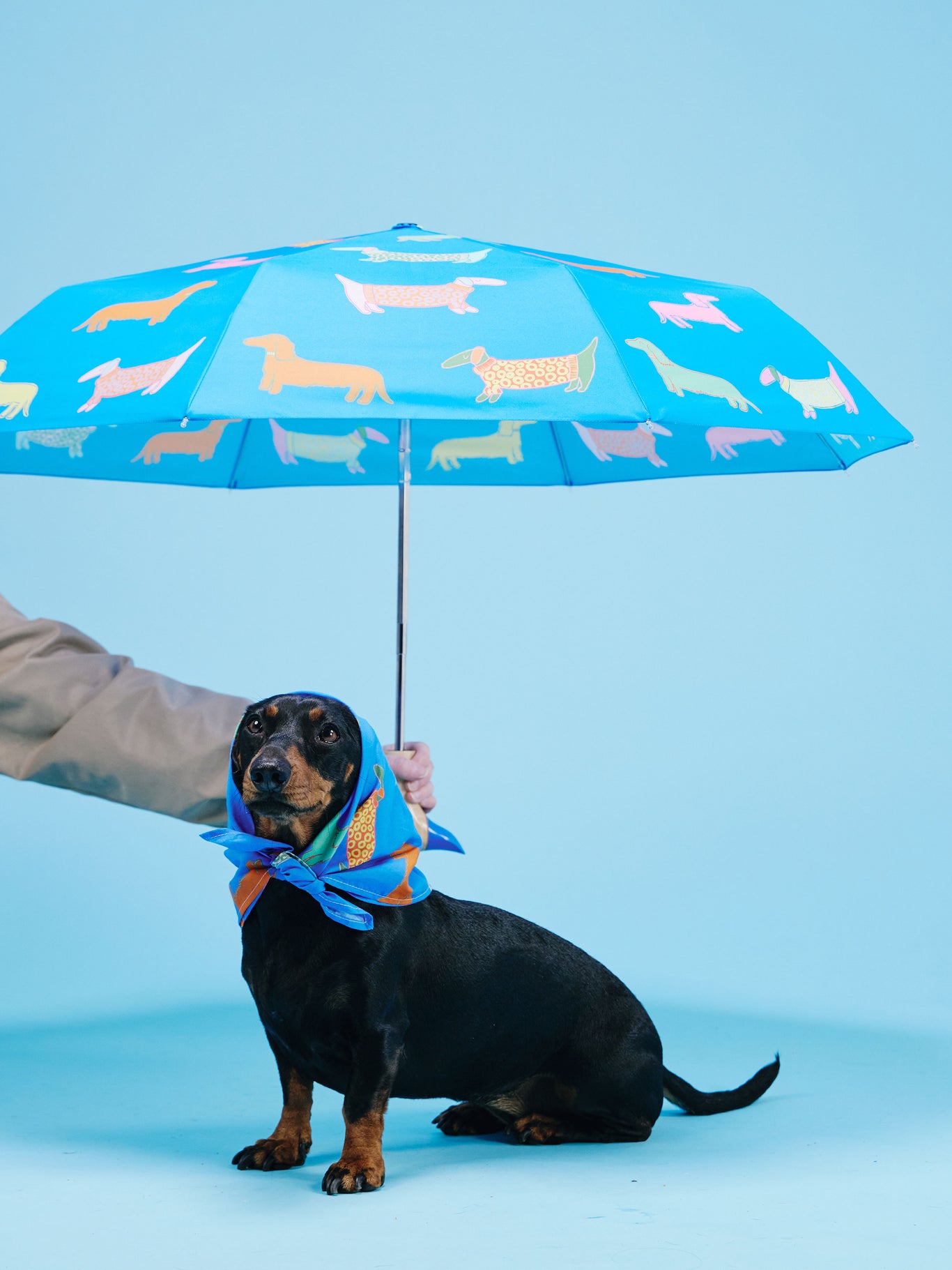 Dogs in Blue Compact Duck Umbrella