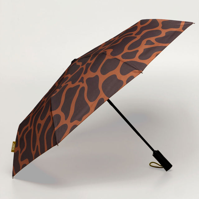 Coffee Ripples bundle