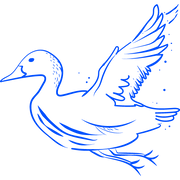 Original Duckhead logo