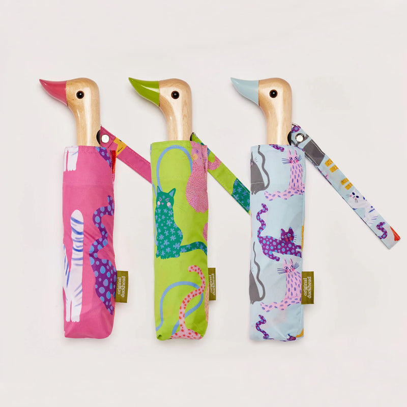 Arty Cats Trio Bundle - Original Duckhead