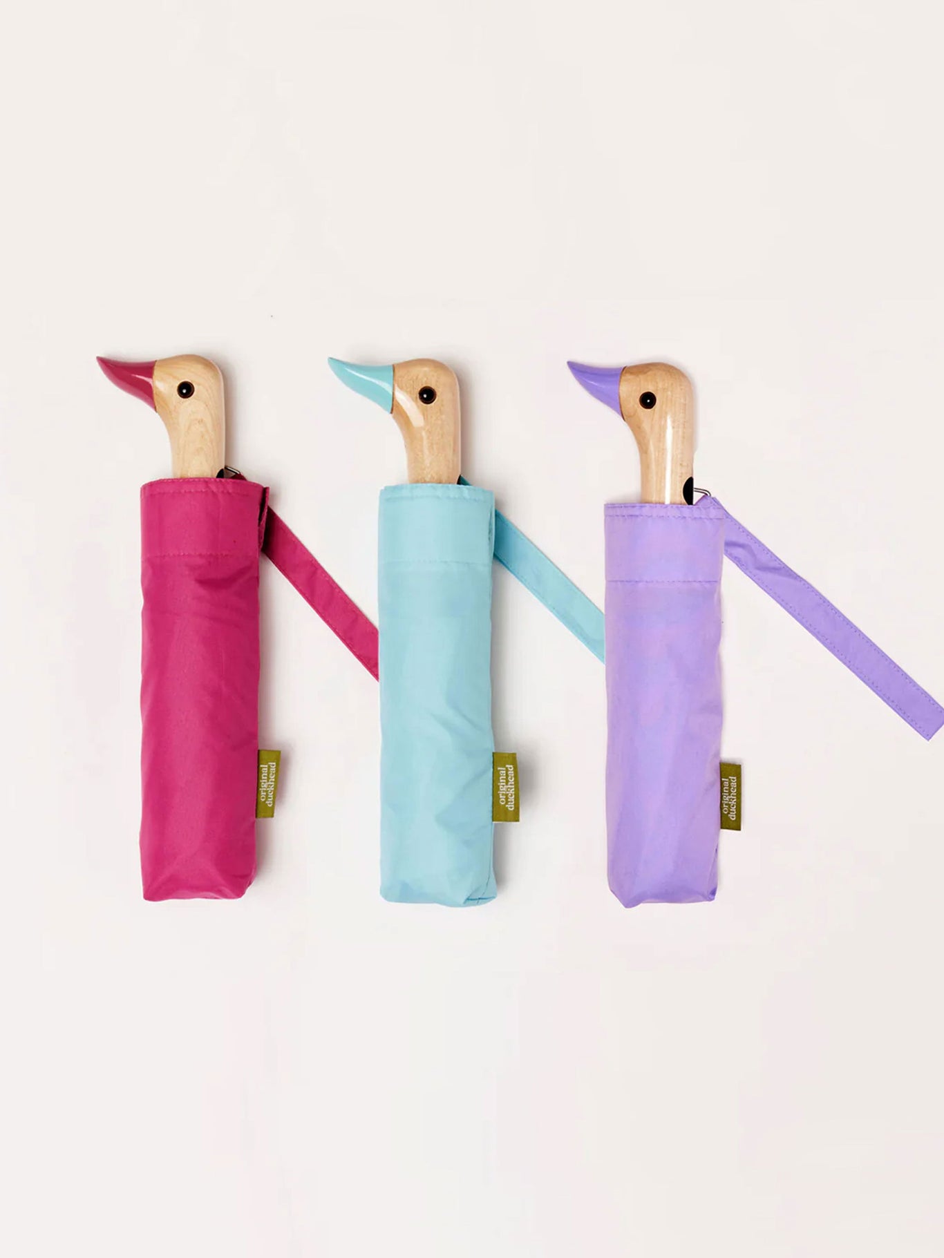 Sorbet Collection Bundle