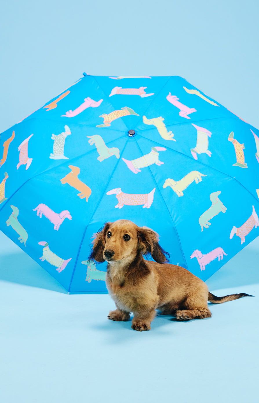 New Umbrellas