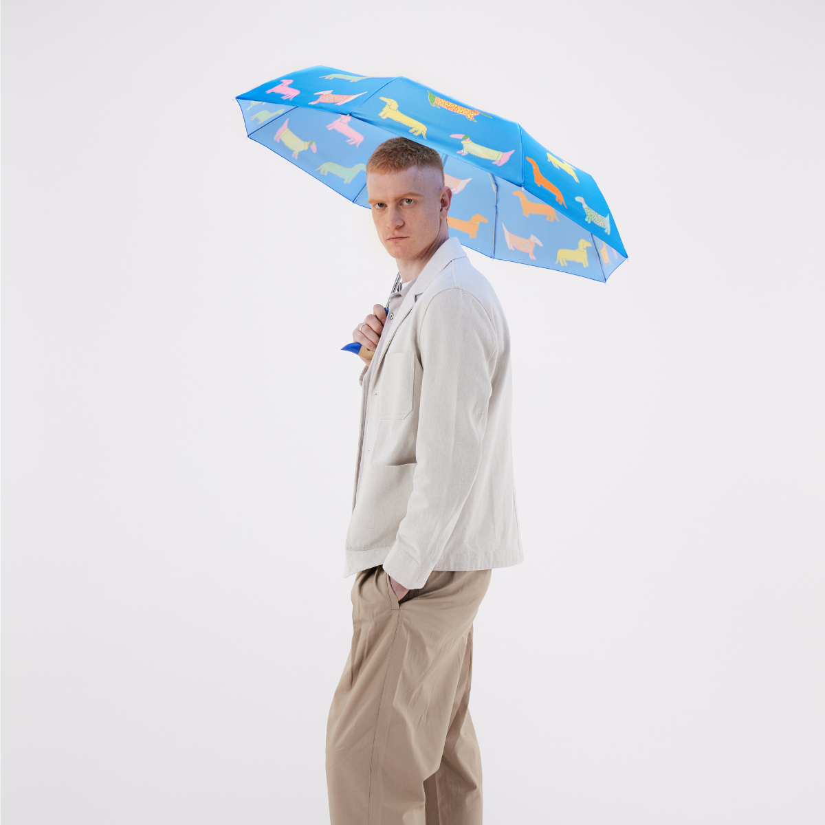 Dogs in Blue Compact Duck Umbrella