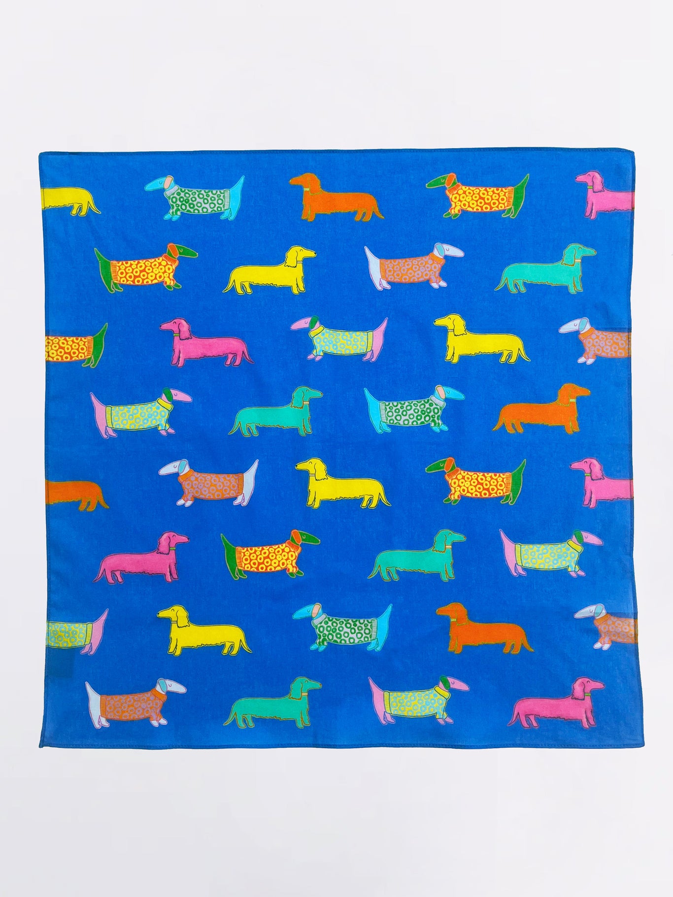 Dogs in Blue Bandana