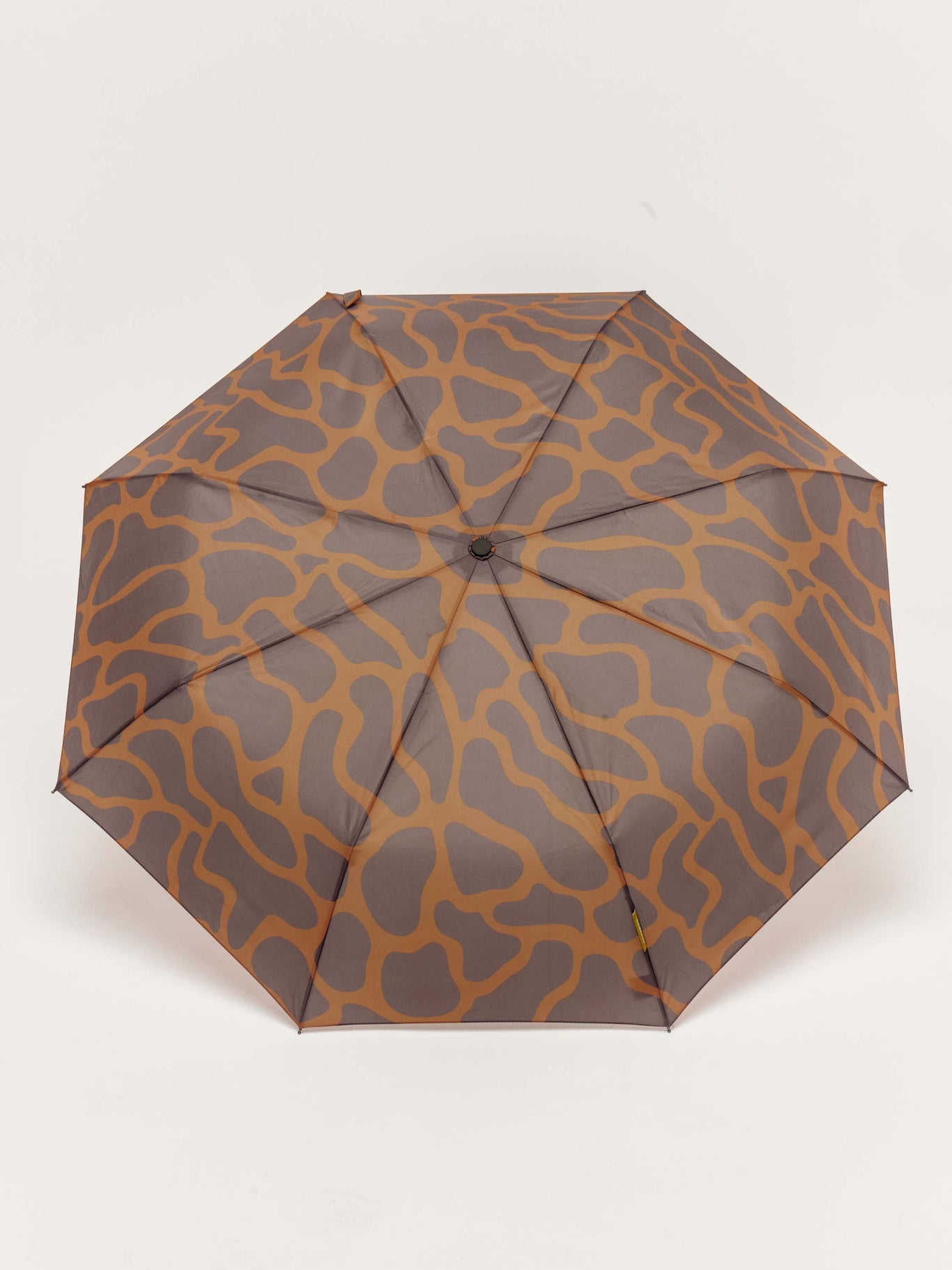 Coffee Ripples Daily Compact Straight Umbrella Original Duckhead