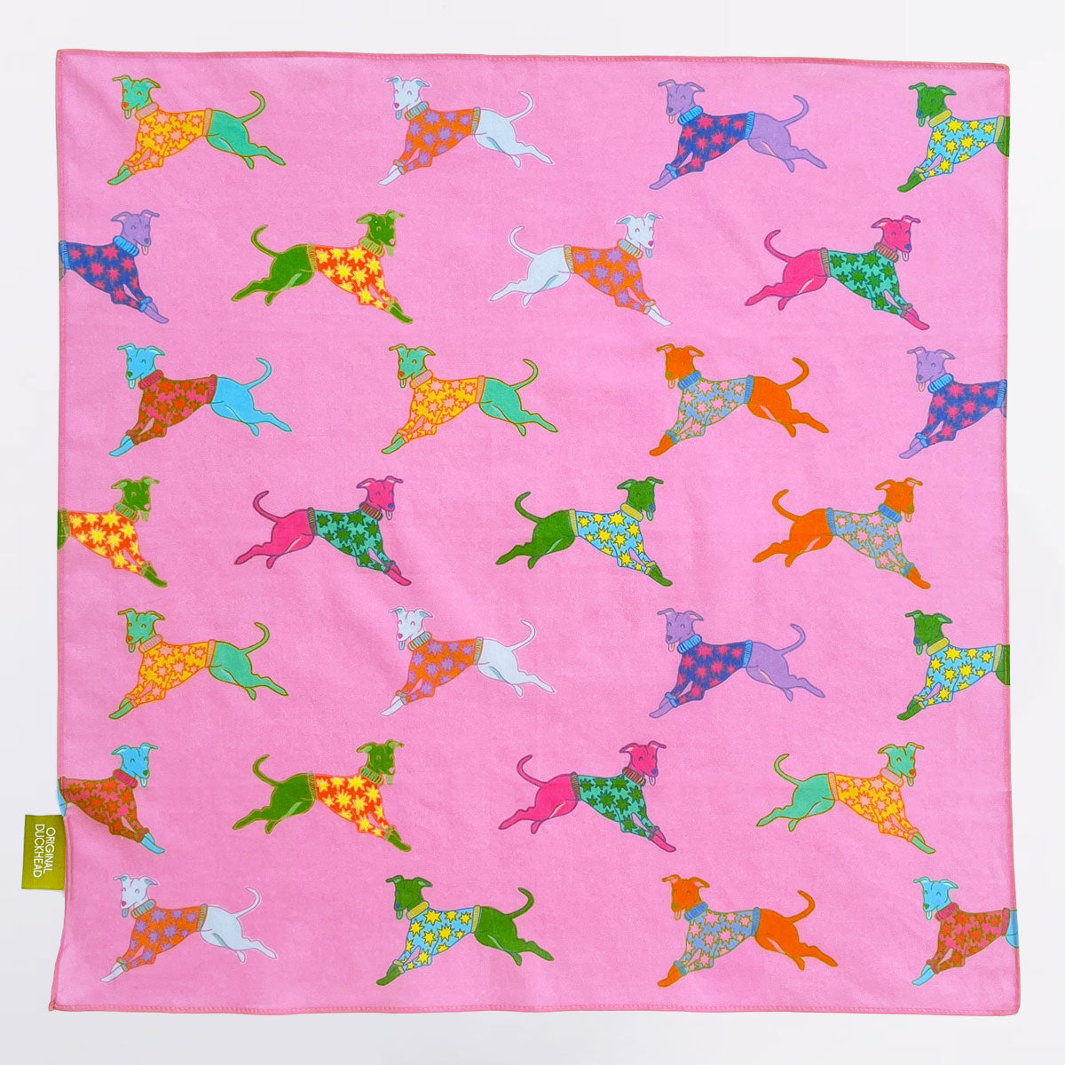 Dogs in Pink Bandana