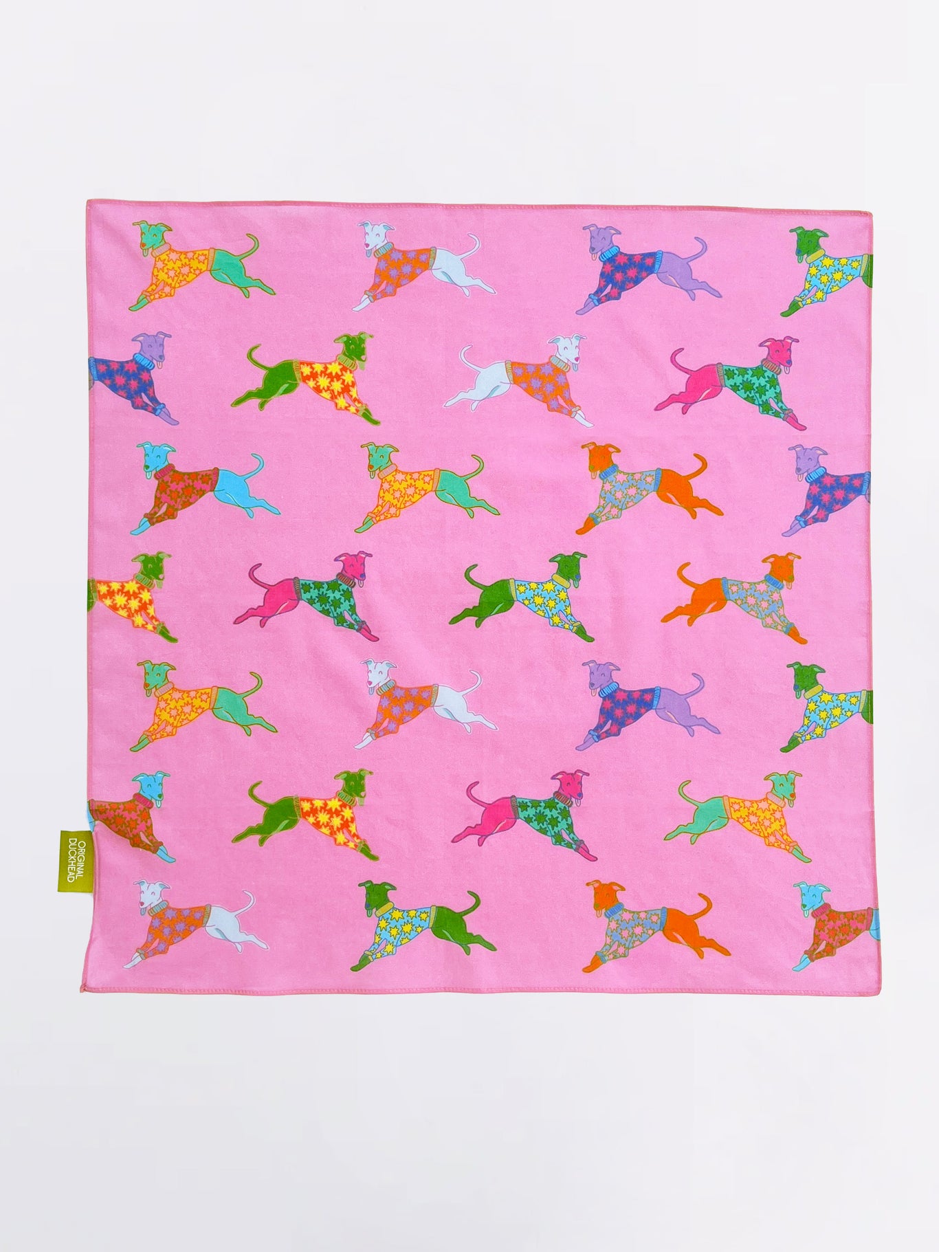 Dogs in Pink Bandana