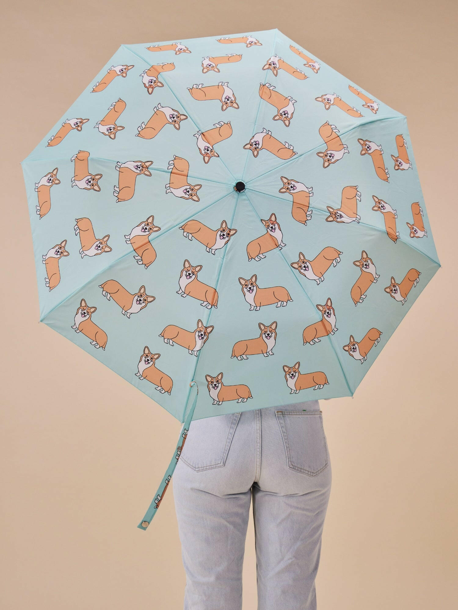 Corgi Fruit Umbrella Corgi Fruit Umbrella